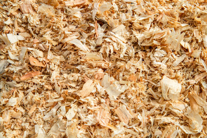 KANTRIE Hobelspäne Champ